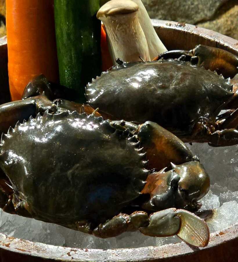 Fresh live crabs on crushed ice in a rustic wooden bowl, accompanied by colorful vegetables, ideal for seafood dining