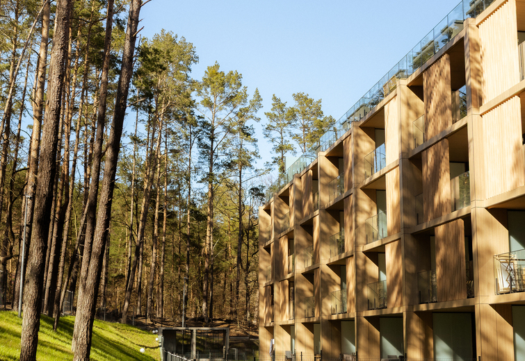 Contemporary wooden hotel façade with private balconies and glass railings overlooking a pine forest, tranquil retreat