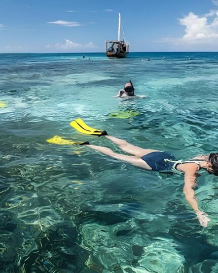 Guests snorkeling with yellow fins over a clear coral reef in turquoise water near a boat on a sunny day