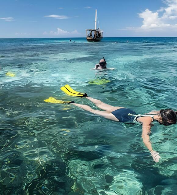 Guests snorkeling with yellow fins over a clear coral reef in turquoise water near a boat on a sunny day