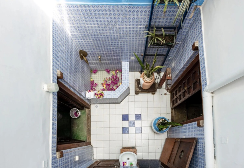 Cozy bathroom with blue patterned tiled walls, a built-in tub decorated with flower petals, and potted plants adding a natural touch.