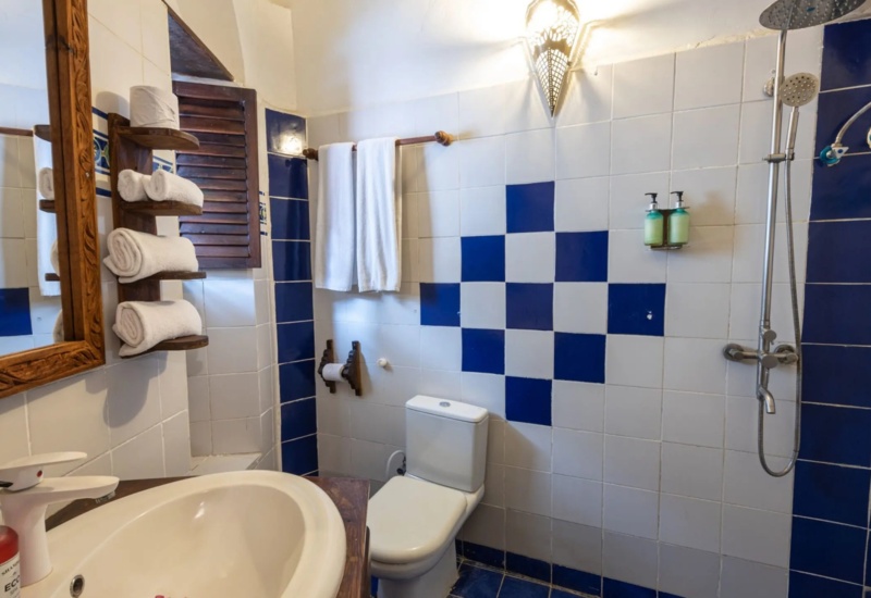 Cozy hotel bathroom with blue and white tiled walls, shower with dual heads, wooden mirror frame, and neatly folded towels