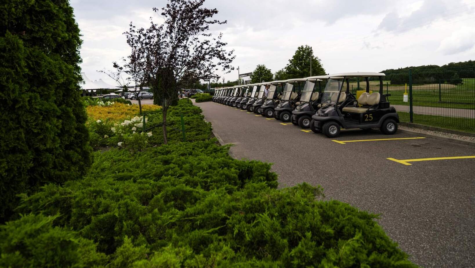 Flota wózków golfowych zaparkowanych w rzędzie przy alejce, obok bujnych krzewów i widoku pola golfowego, gotowe dla gości