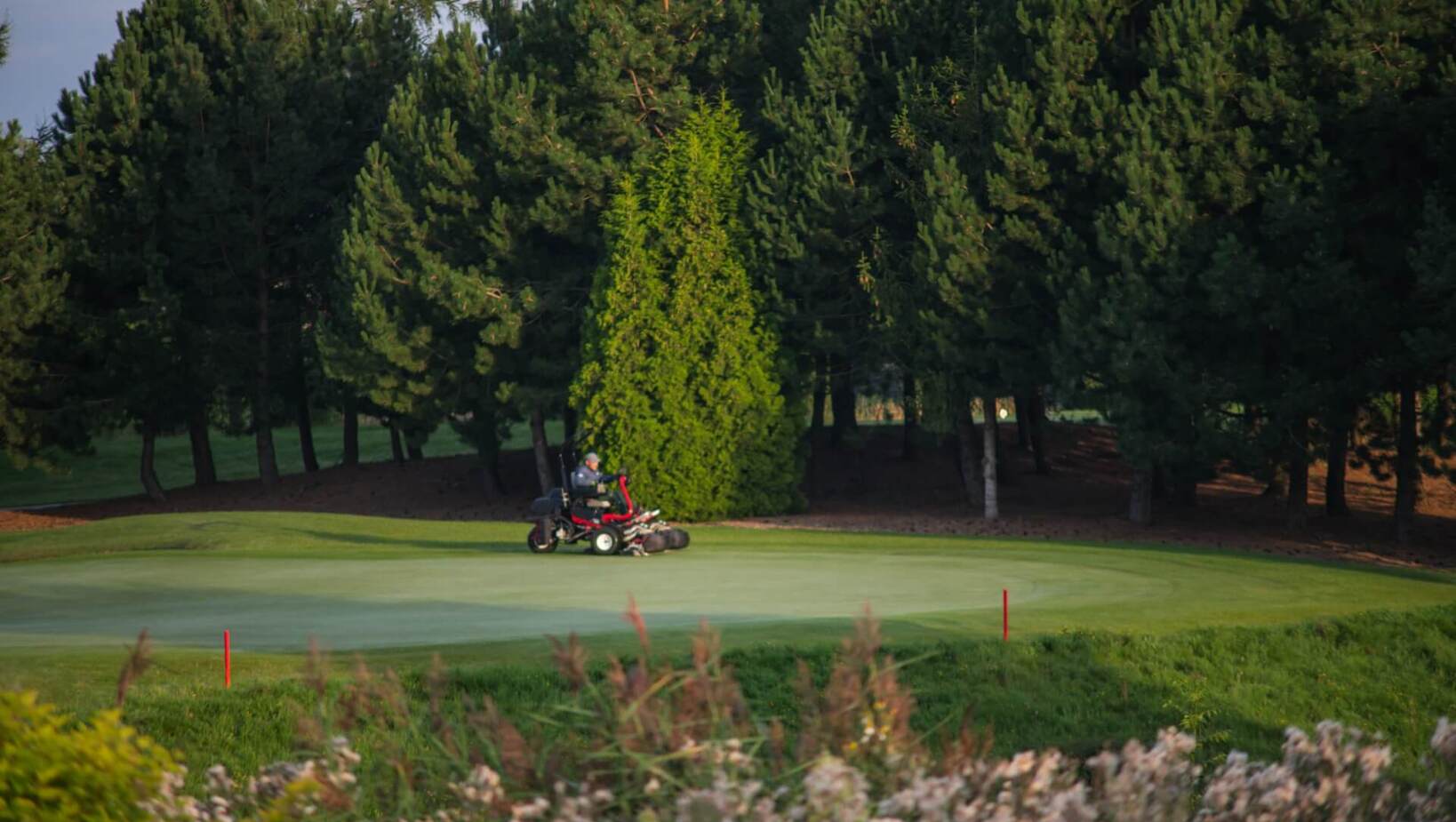 Green pola golfowego z pracownikiem na traktorku koszącym trawę, otoczony gęstym lasem iglastym