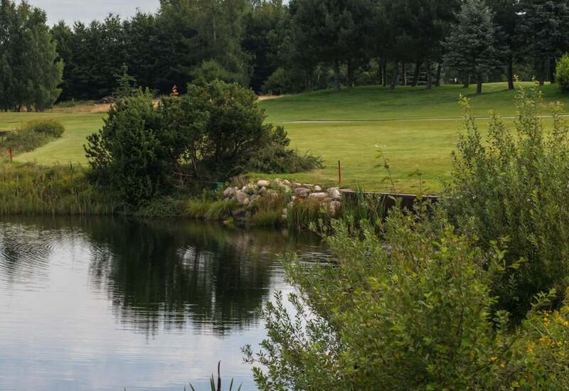 Staw przy polu golfowym z kamiennym brzegiem, trzcinami i dzikimi kwiatami; widok na zadbane trawniki, szpalery drzew i spokojne niebo.