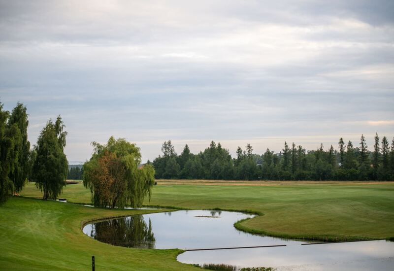 Pole golfowe z malowniczym oczkiem wodnym, zwisającymi wierzbami, szerokimi fairwayami i spokojnym, zachmurzonym niebem.