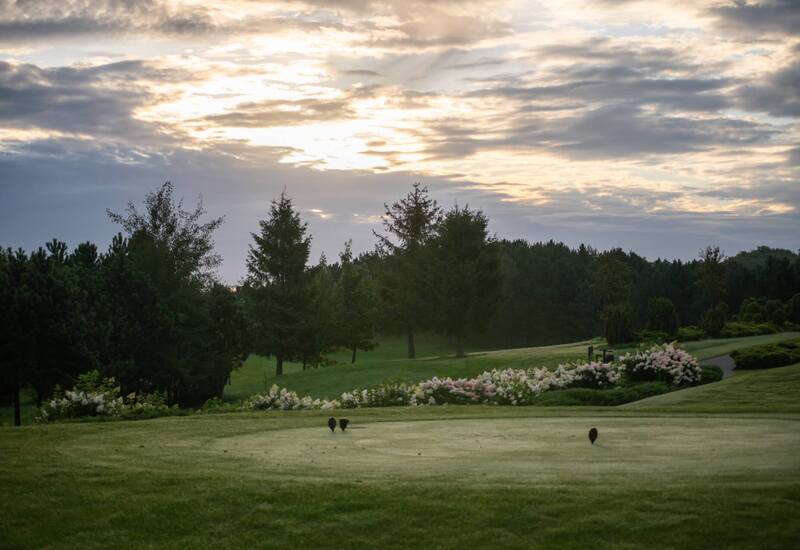 Zielone pole golfowe z dwoma znacznikami tee, rabaty hortensji, sosnowe drzewa i spokojny wschód słońca.