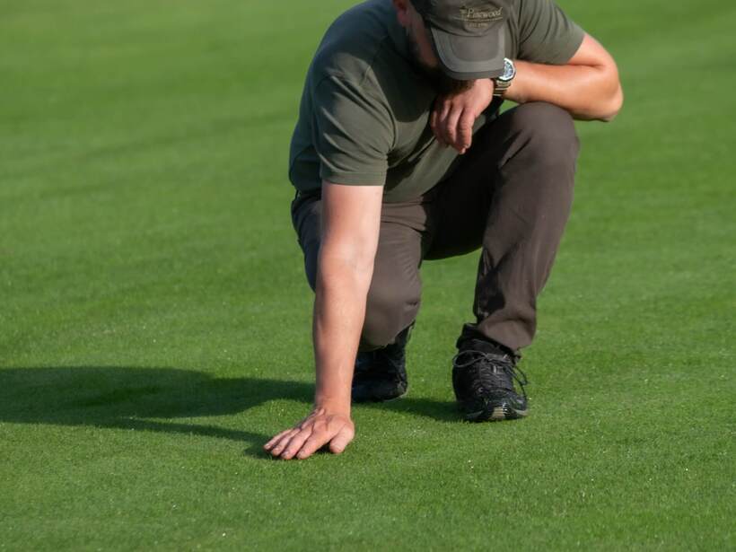 Pracownik pola golfowego przy hotelu kuca i dotyka zadbanego, gęstego trawnika fairway