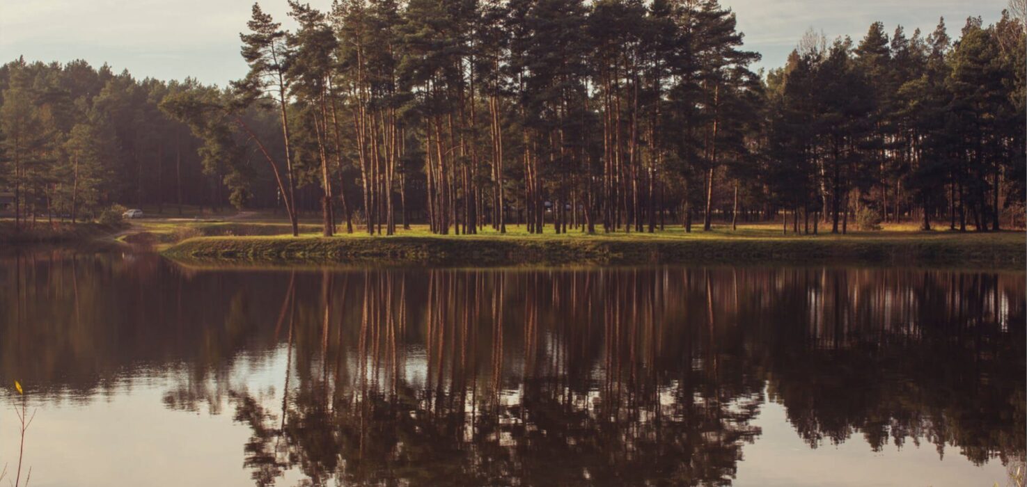 Spokojny staw z odbiciem wysokich sosnowych drzew w wodzie, miejsce na relaks na łonie natury.