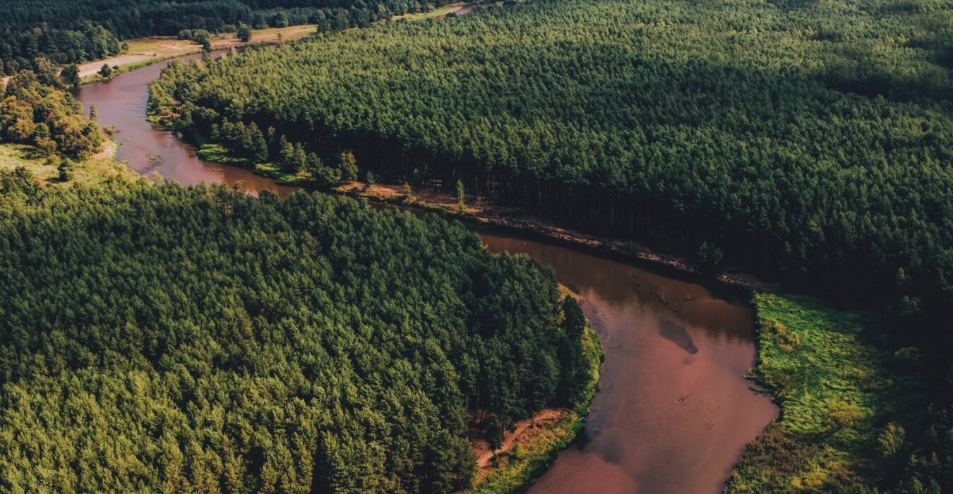Widok z lotu ptaka na rzekę Warte wijącą się przez gęsty zielony las, idealne miejsce na wycieczki i relaks w naturze.
