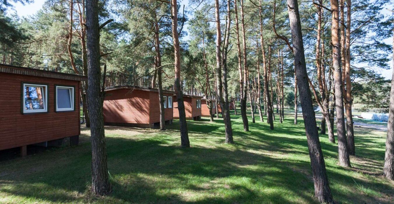 Drewniane domki letniskowe otoczone sosnowym lasem, idealne na spokojny wypoczynek blisko natury.