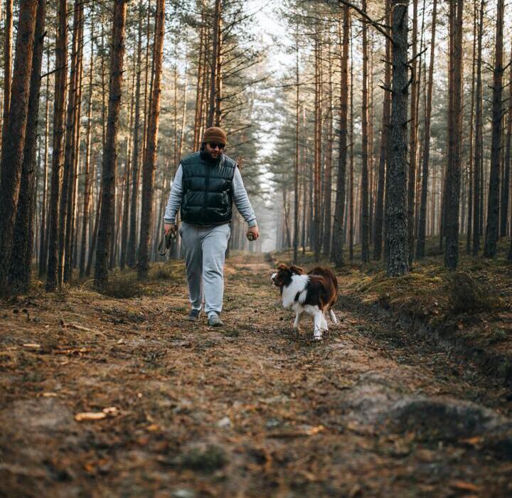 Mężczyzna idący po leśnej ścieżce z psem w otoczeniu wysokich sosen w spokojnym, naturalnym lesie.