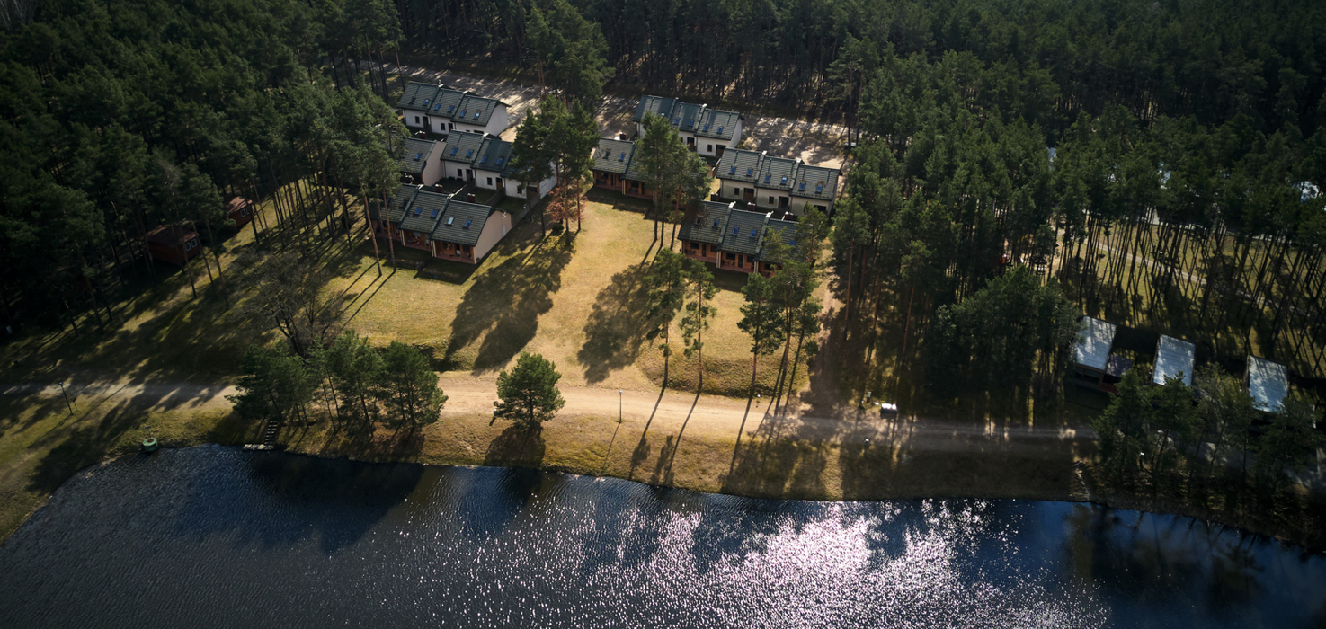 Workation w sercu lasu