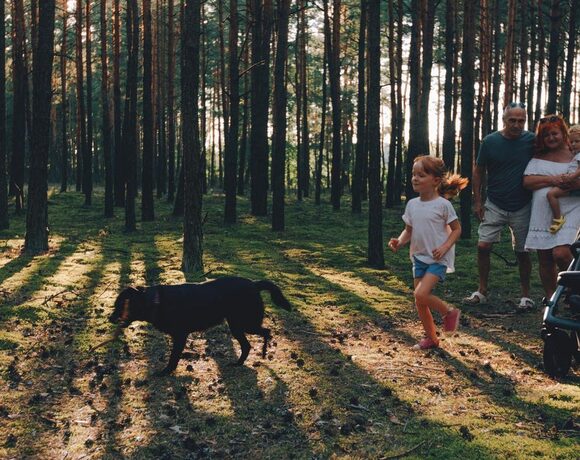 Rodzina spacerująca po sosnowym lesie o zachodzie słońca z dziećmi, psem i wózkiem dziecięcym.