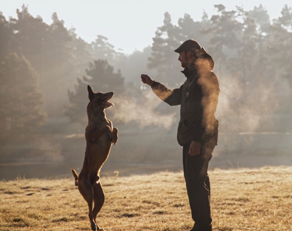 Mężczyzna trenujący psa na porannym, mglistym terenie zielonym wokół Resortu Stara Wieś, otoczonym drzewami.