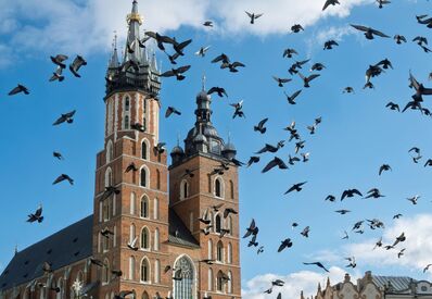 Gothic red-brick basilica with two ornate towers under a blue sky, flocks of pigeons swirling above the city square.
