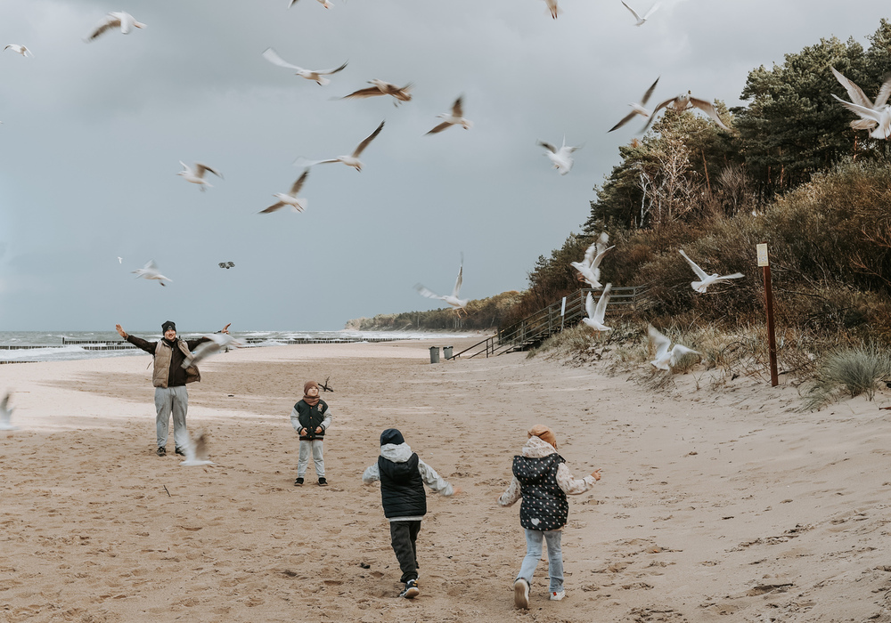 Family on a windswept beachfront feeding seagulls by pine-dotted dunes under a cloudy sky