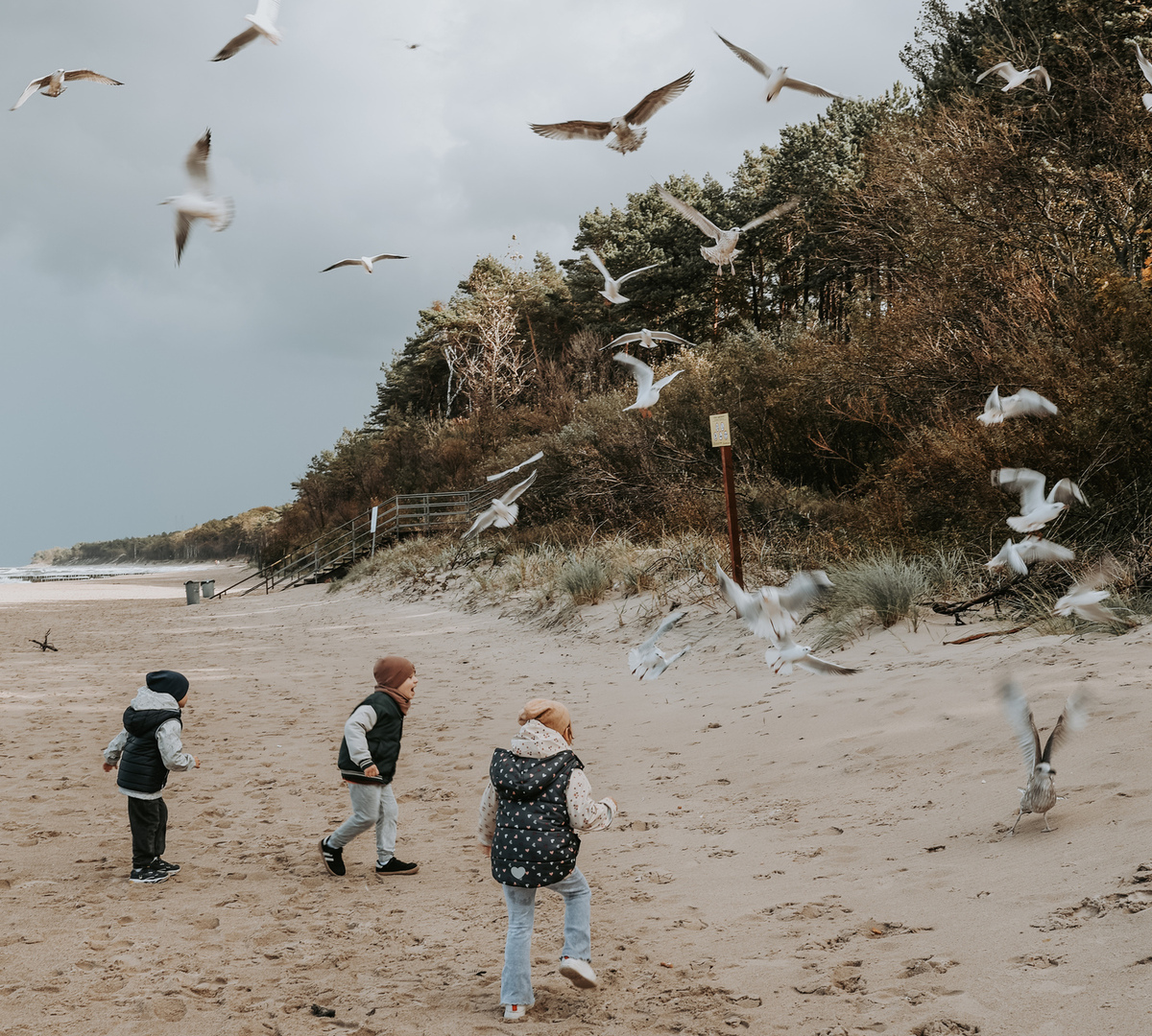 Barn løper på en vindfull strand og mater måker ved sanddyner og furuskog under skyet himmel