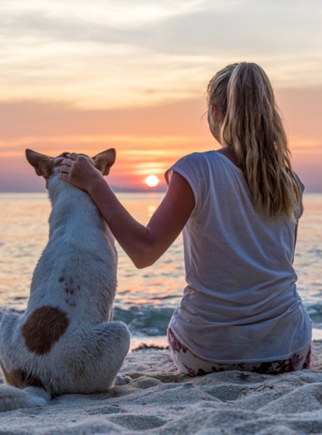 miejsce przyjazne zwierzętom