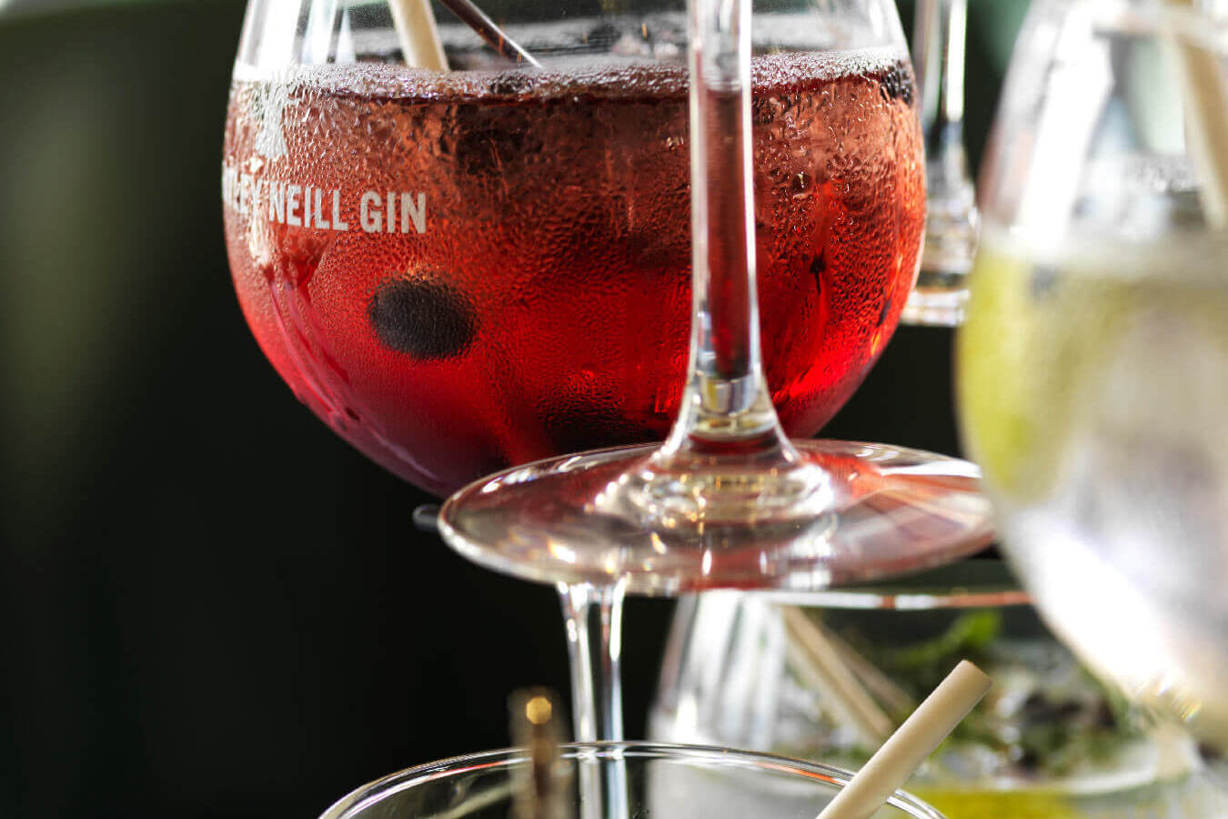 Stemmed gin cocktail flight: ruby berry gin with cherry garnish and citrus gin with dehydrated lemon, chilled and glassy.