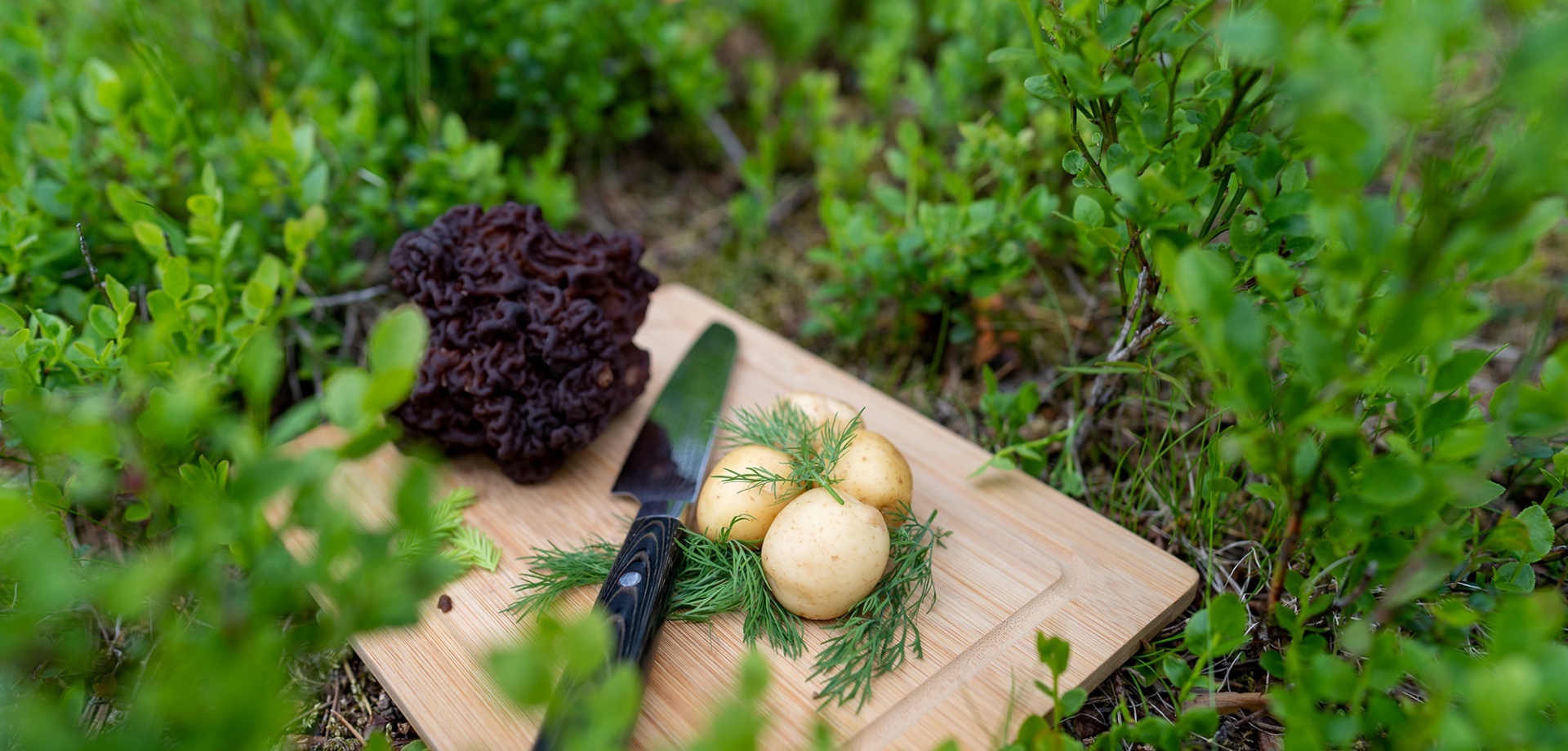 Chopping board with freshly-peeled potatoes nestled in dill.