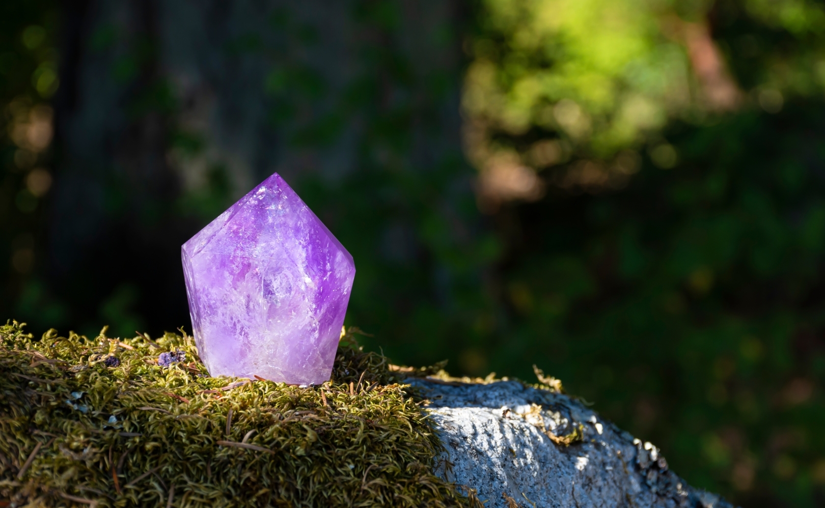 A violet amethyst sitting on a pillow of bright-green moss.