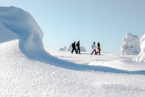 4 people exploring the pristine, white and snow-covered hilltop.