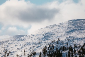 Pale-white hillside reaching the skyline.