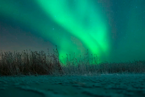 Vibrant green northern lights glowing above frosty ground and tall grasses under a starry night sky