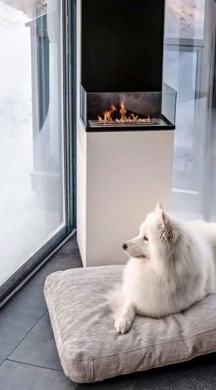 A dog lying on a large pillow and looking through the terrace door.