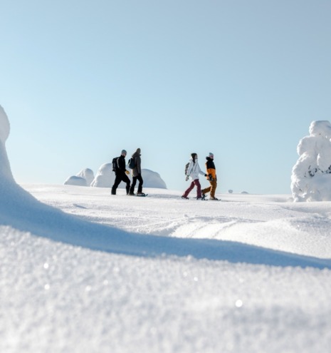 4 people exploring the pristine, white and snow-covered hilltop.