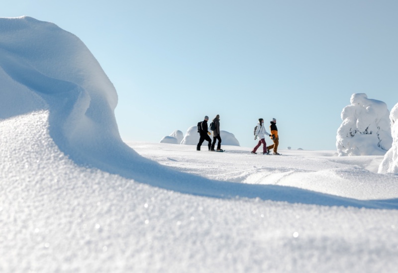 4 people exploring the pristine, white and snow-covered hilltop.