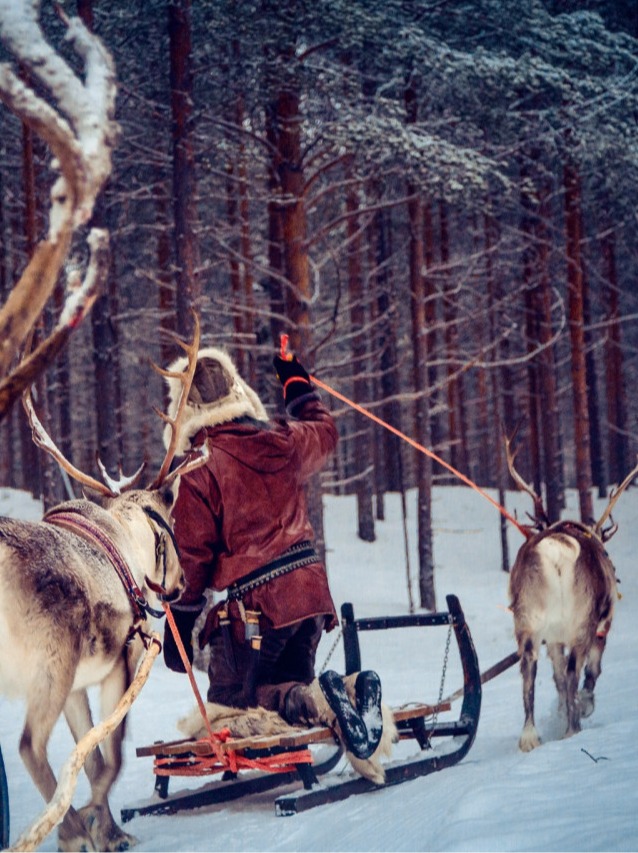 Person in traditioneller Winterkleidung fährt mit einem Rentierschlitten durch einen verschneiten Waldweg