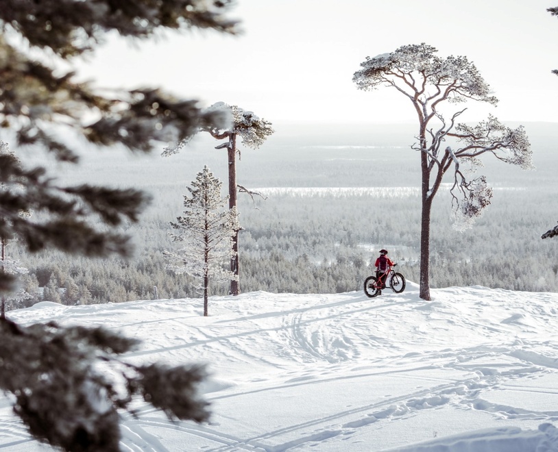Person riding a fat tire bike on a snowy hill surrounded by snow-covered pine trees with a vast winter forest view