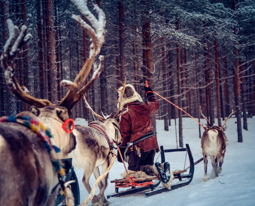 Person in traditional winter clothing riding a reindeer sled through a snowy forest trail