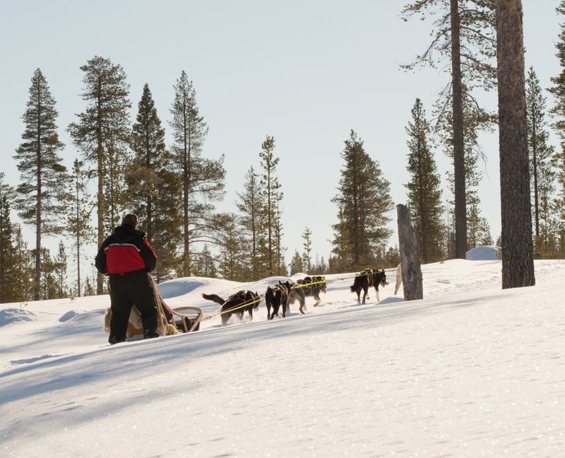 Two people in a husky sled going uphill.