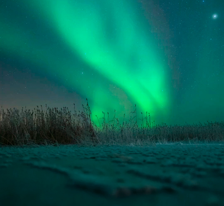 Vibrant green northern lights glowing above frosty ground and tall grasses under a starry night sky