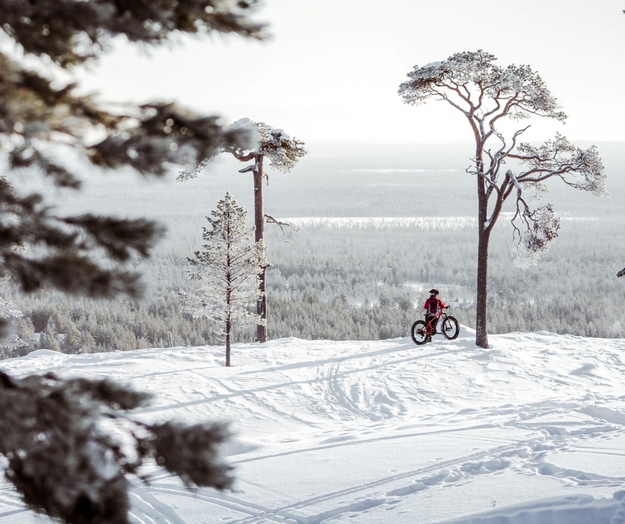 Person riding a fat tire bike on a snowy hill surrounded by snow-covered pine trees with a vast winter forest view