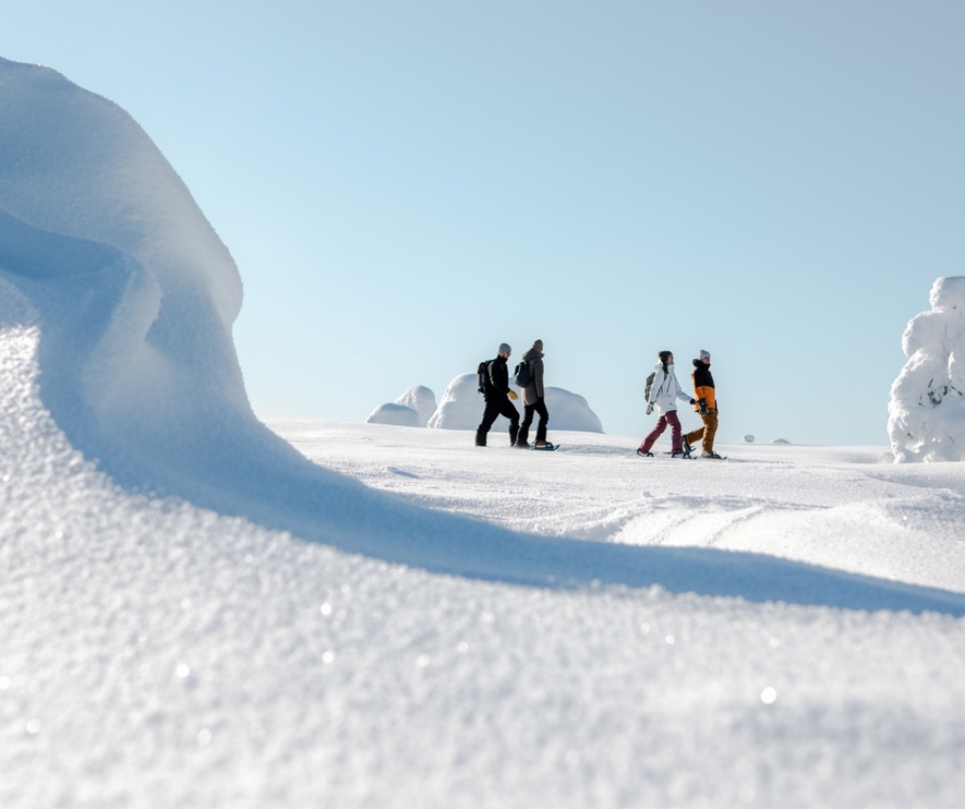 Quatre randonneurs en raquettes progressant dans un paysage enneigé étendu sous un ciel clair d'hiver