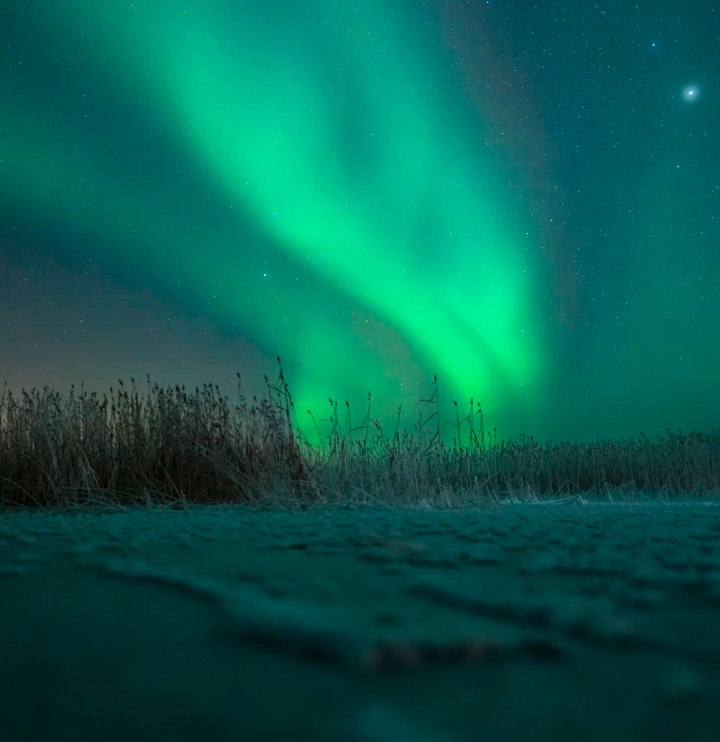 Lueurs vertes des aurores boréales au-dessus du sol givré et des herbes hautes sous un ciel étoilé