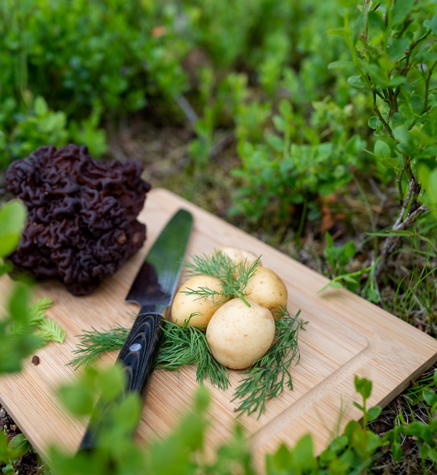 Chopping board with freshly-peeled potatoes nestled in dill.
