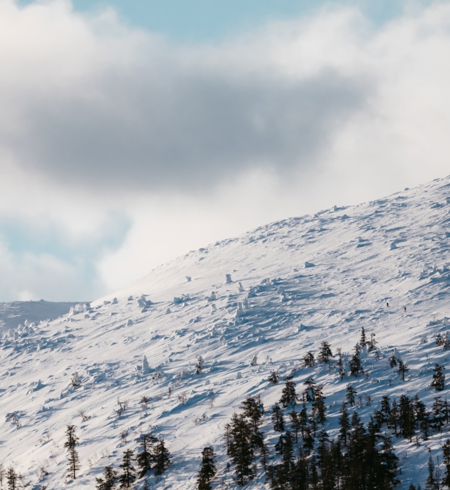 Pale-white hillside reaching the skyline.