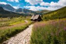 A trail in the Tatra Mountains suitable for families with children