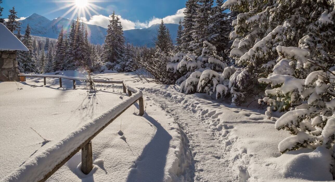 Zakopane in winter