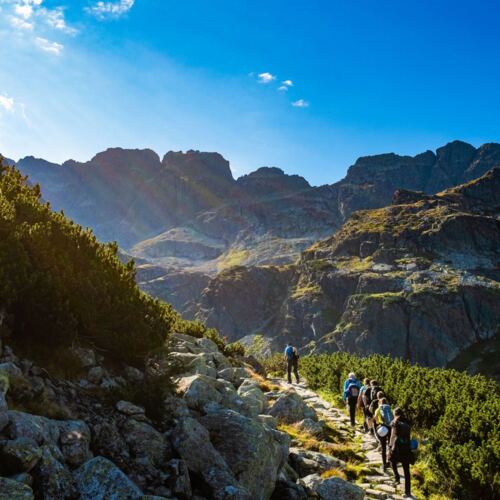 Grupa turystów podczas wycieczki górskiej z plecakami na tle Tatr