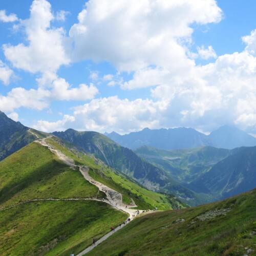 Górski krajobraz z wijącą się ścieżką prowadzącą przez łąkę i las