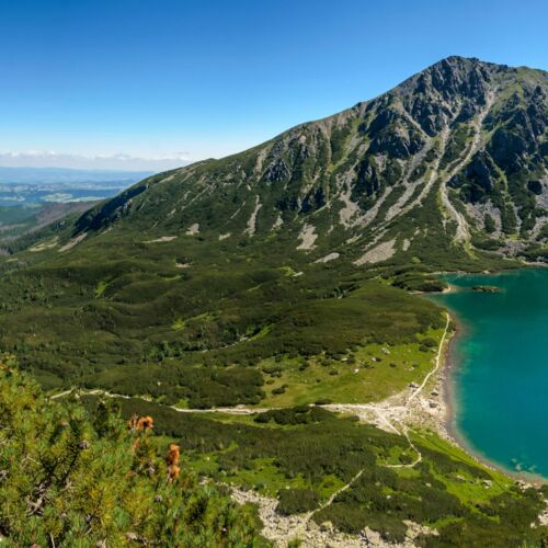 Malownicze jezioro otoczone górskimi szczytami i sosnowym lasem w sercu Tatrzańskiego Parku