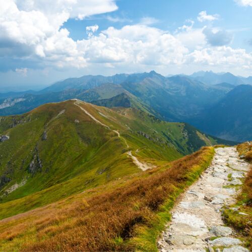 Górski szlak w pobliżu apartamentów w Zakopanem