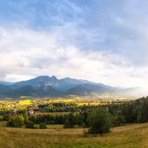 Zielona polana z rozproszonymi drzewami na tle majestatycznych szczytów Tatr.