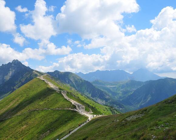 Horská krajina s klikatou stezkou vedoucí přes louku a les